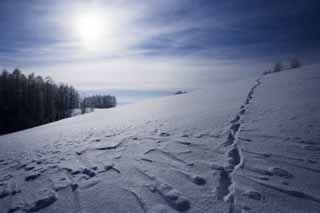 foto,tela,gratis,paisaje,fotografía,idea,A the other equipo de un campo cubierto de nieve, Cielo azul, Pisada, Campo cubierto de nieve, Está nevoso