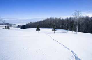 foto,tela,gratis,paisaje,fotografía,idea,A the other equipo de un campo cubierto de nieve, Cielo azul, Pisada, Campo cubierto de nieve, Está nevoso