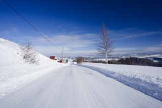 foto,tela,gratis,paisaje,fotografía,idea,Una - línea recta de camino cubierta de nieve, Caminos helados, Cielo azul, Campo cubierto de nieve, Está nevoso