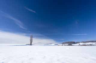 foto,tela,gratis,paisaje,fotografía,idea,Un campo cubierto de nieve, Campo cubierto de nieve, Montaña, Árbol, Cielo azul