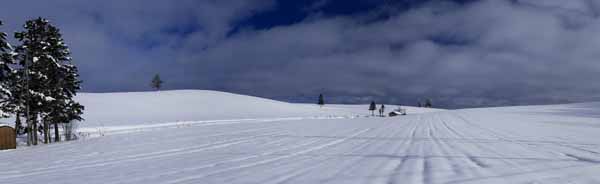 foto,tela,gratis,paisaje,fotografía,idea,Una casa pequeña de un campo cubierto de nieve, Campo cubierto de nieve, Nube, Casa, Cielo azul