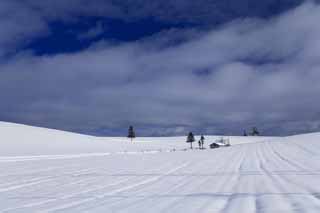 foto,tela,gratis,paisaje,fotografía,idea,Una casa pequeña de un campo cubierto de nieve, Campo cubierto de nieve, Nube, Casa, Cielo azul