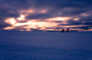 foto,tela,gratis,paisaje,fotografía,idea,Anochecer de un campo cubierto de nieve, Campo cubierto de nieve, Nube, Árbol, El sol