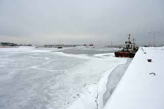 foto,tela,gratis,paisaje,fotografía,idea,El puerto que se paraliza, Hielo de ventisquero, Hielo, Puerto, Embarcación