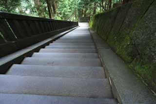 foto,tela,gratis,paisaje,fotografía,idea,Una escalera de piedra de Tosho - Shrine de gu, Escalera de piedra, Escaleras, Moss, Cedro