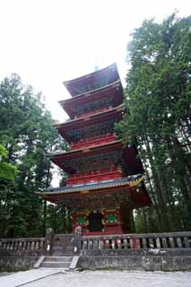 foto,tela,gratis,paisaje,fotografía,idea,Cinco pagoda de Storeyed de Tosho - Shrine de gu, Santuario de Tosho - gu, Cinco pagoda de Storeyed, Soy el rojo de cinnabar, Herencia de mundo