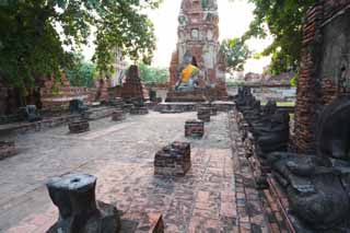 foto,tela,gratis,paisaje,fotografía,idea,Wat Phra Mahathat, La herencia cultural de mundo, Buddhism, Idea Buddhist, Sobras de Ayutthaya