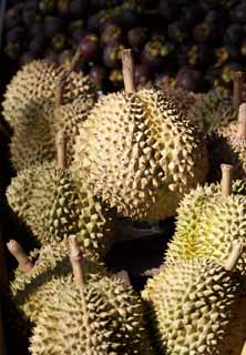 foto,tela,gratis,paisaje,fotografía,idea,Un durian, Fruta, , Durian, Olor