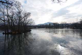 photo,material,free,landscape,picture,stock photo,Creative Commons,Onumakoen winter scene, tree, lake, Lake Onuma, The sun