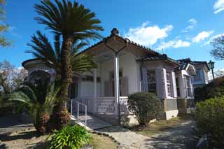 photo, la matière, libre, aménage, décrivez, photo de la réserve,Vieux Walker maison, Bâtiment du de l'ouest-style, maison, fenêtre, Cycad