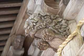 foto,tela,gratis,paisaje,fotografía,idea,Kompira - la escultura de león del santuario de san, Santuario templo Buddhist sintoísta, Compañía, León, Shinto