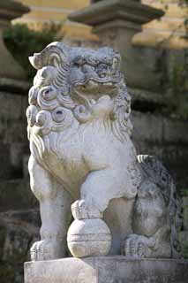 photo, la matière, libre, aménage, décrivez, photo de la réserve,Kompira-san paire de Temple de chiens du gardien de pierre, Temple shintoïste temple bouddhiste, paire de chiens du gardien de pierre, chef, Shintoïsme