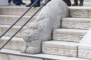 fotografia, material, livra, ajardine, imagine, proveja fotografia,Uma estátua de pedra de Kunjongjon, apedreje estátua, Um animal, Escadarias, escultura