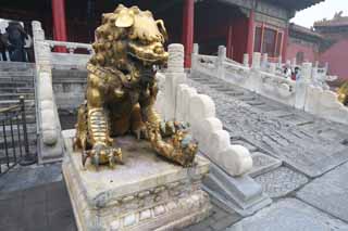 foto,tela,gratis,paisaje,fotografía,idea,Ciudad Prohibida de oro pintado león estatuas de bronce, León, Mujer, Palacio, Cuna