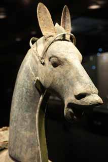 photo, la matière, libre, aménage, décrivez, photo de la réserve,Bronze Horse, Chine ancienne, Statue de bronze, Véhicules, Cheval