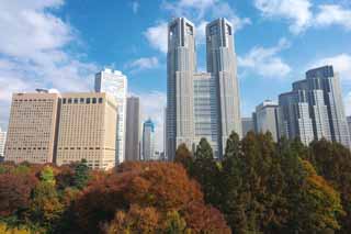 foto,tela,gratis,paisaje,fotografía,idea,Gobierno Metropolitano de Tokio, Torre, Subcenter, Gobierno metropolitano de Tokyo, Edificio