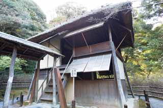 fotografia, material, livra, ajardine, imagine, proveja fotografia,Kodaiji templo Pavilhão drizzling, , Cerimônia de chá, Japonês cultiva, 