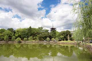 photo, la matière, libre, aménage, décrivez, photo de la réserve,Un étang de Sarusawa, saule, étang, Nara-koen se garent, attraction touristique