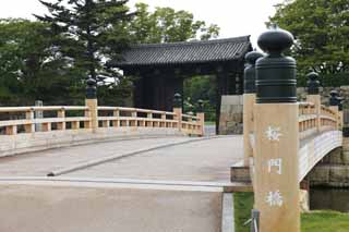 foto,tela,gratis,paisaje,fotografía,idea,Himeji - Ote de castillo de jo - puerta de mon, Cuatro tesoros nacionales Castle, El puente de recaudación de cerezo, Shigetaka Kuroda, Hideyoshi Hashiba