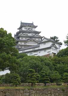 foto,tela,gratis,paisaje,fotografía,idea,Himeji - Castle de jo, Cuatro tesoros nacionales Castle, La torre de castillo, Shigetaka Kuroda, Hideyoshi Hashiba