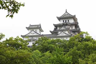 foto,tela,gratis,paisaje,fotografía,idea,Himeji - Castle de jo, Cuatro tesoros nacionales Castle, Sadanori Akamatsu, Shigetaka Kuroda, Hideyoshi Hashiba