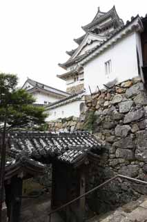 foto,tela,gratis,paisaje,fotografía,idea,Himeji - Castle de jo, Cuatro tesoros nacionales Castle, Sadanori Akamatsu, Shigetaka Kuroda, Hideyoshi Hashiba