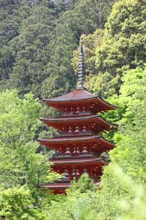 foto,tela,gratis,paisaje,fotografía,idea,Cinco pagoda de Storeyed de Hase - templo de dera, Soy pintado de rojo, Edificio de madera, Chaitya, Mitera de la flor