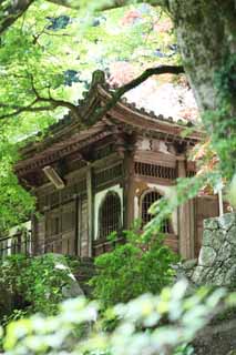 foto,tela,gratis,paisaje,fotografía,idea,El santuario en el que el fundador está en el que la imagen es instalada de Hase - templo de dera, Ventana de cabeza de flor, Edificio de madera, Chaitya, Mitera de la flor