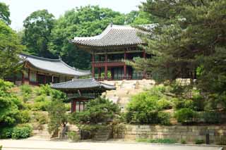 photo,material,free,landscape,picture,stock photo,Creative Commons,Juhamnu, The Imperial Court architecture, tile, I am painted in red, world heritage