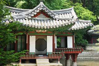 photo,material,free,landscape,picture,stock photo,Creative Commons,A cotton rose bower, The Imperial Court architecture, tile, I am painted in red, world heritage