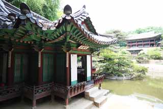 photo,material,free,landscape,picture,stock photo,Creative Commons,A cotton rose bower, The Imperial Court architecture, tile, I am painted in red, world heritage