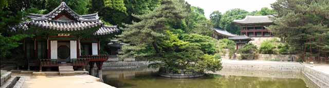 fotografia, materiale, libero il panorama, dipinga, fotografia di scorta,Una pergola di rosa di cotone, La Corte Imperiale l'architettura, tegola, Io sono dipinto in rosso, eredità di mondo