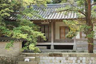 photo,material,free,landscape,picture,stock photo,Creative Commons,Kiohon, The Imperial Court architecture, I am wooden, I am simple, world heritage