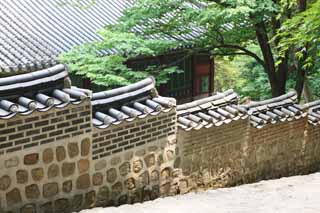 foto,tela,gratis,paisaje,fotografía,idea,La pared del santuario de Akitoku, La arquitectura de la corte imperial, Azulejo, Ishigaki, Herencia de mundo