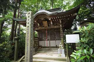 foto,tela,gratis,paisaje,fotografía,idea,Un templo de cambio maravilloso de monte. Takao, Buena paseante oración, Niño ogro extraño, Giyoja Enno, Templo