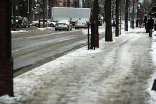 foto,tela,gratis,paisaje,fotografía,idea,De acuerdo con Sapporo, Árbol de zona lateral de camino, Camino pavimentado, Automóvil, La nieve retirar