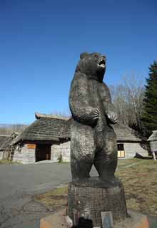 foto,tela,gratis,paisaje,fotografía,idea,El tallado en madera del oso, Oso, , , Ainús