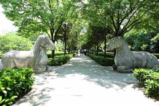 fotografia, material, livra, ajardine, imagine, proveja fotografia,Um Ming Xiaoling Mausoléu pedra estátua estrada, Restos, apedreje estátua, Uma aproximação para um santuário, herança mundial