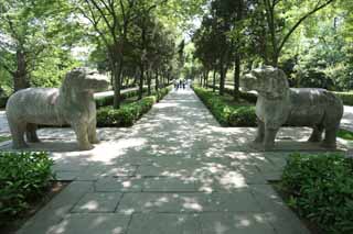 fotografia, material, livra, ajardine, imagine, proveja fotografia,Um Ming Xiaoling Mausoléu pedra estátua estrada, Restos, apedreje estátua, Uma aproximação para um santuário, animal de pedra