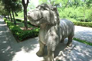 fotografia, material, livra, ajardine, imagine, proveja fotografia,Um Ming Xiaoling Mausoléu pedra estátua estrada, Restos, apedreje estátua, Uma aproximação para um santuário, animal de pedra