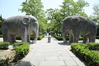 fotografia, material, livra, ajardine, imagine, proveja fotografia,Um Ming Xiaoling Mausoléu pedra estátua estrada, Restos, apedreje estátua, Uma aproximação para um santuário, herança mundial