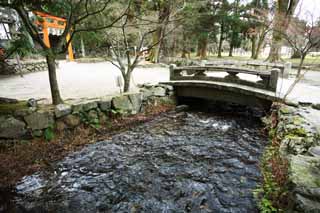 foto,tela,gratis,paisaje,fotografía,idea,Un arroyo de Kamigamo Nara del santuario, Naipe japonés tradicional, Poema japonés 31 sílaba, Un evento, El Emperador