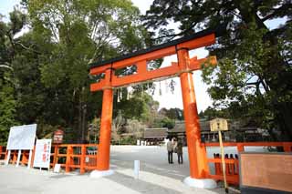 foto,tela,gratis,paisaje,fotografía,idea,Dos Kamigamo toriis del santuario, Torii, Guirnalda de paja sintoísta, Prevención en contra del mal, El Emperador