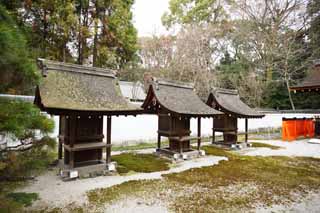 foto,tela,gratis,paisaje,fotografía,idea,Sociedad anónima de Mitsui de la compañía del santuario de Shimogamo, Una caja de ofertorio, Edificio de madera, Par rojo de tutor perros de piedra, Accesorios de metal del dinero