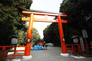 Foto, materiell, befreit, Landschaft, Bild, hat Foto auf Lager,Shimogamo Shrine Gesellschaft torii, Schintoismus, Verhütung von Bösem, Bezirke, Schintoistisches Schreintor