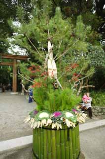 foto,tela,gratis,paisaje,fotografía,idea,Pino de Año Nuevo del santuario de Omiwa y adornos de bambú, Adornos de pino de año nuevo, Dios que controla un año de zodiacal, Objeto de espíritu - morada, Col ornamental