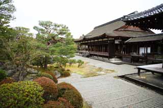 foto,tela,gratis,paisaje,fotografía,idea,Jardín de norte de Temple de Ninna - ji, Cinco pagoda de Storeyed, Soy japonés -style, Laguna, El estilo de japonés garden con una laguna en el jardín del centro