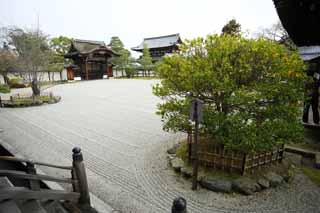 foto,tela,gratis,paisaje,fotografía,idea,Temple jardín primero de Ninna - ji del Hall para las ceremonias estatales, Jardín, Sand, Puerta para mensajeros imperiales, Paisaje jardín japonés seco