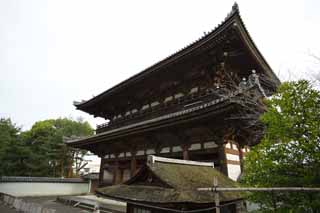 foto,tela,gratis,paisaje,fotografía,idea,La Temple Nio tutor puerta de deidad de Ninna - ji, Puerta de Deva, Aparición de madre de caso de una casa, Estilo arquitectónico japonés, Templo famoso con una historia venerable