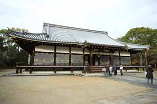 foto,tela,gratis,paisaje,fotografía,idea,Temple templo interior de Ninna - ji, El estilo de la corte imperial, Estructura de habitación principal, Chaitya, Herencia de mundo